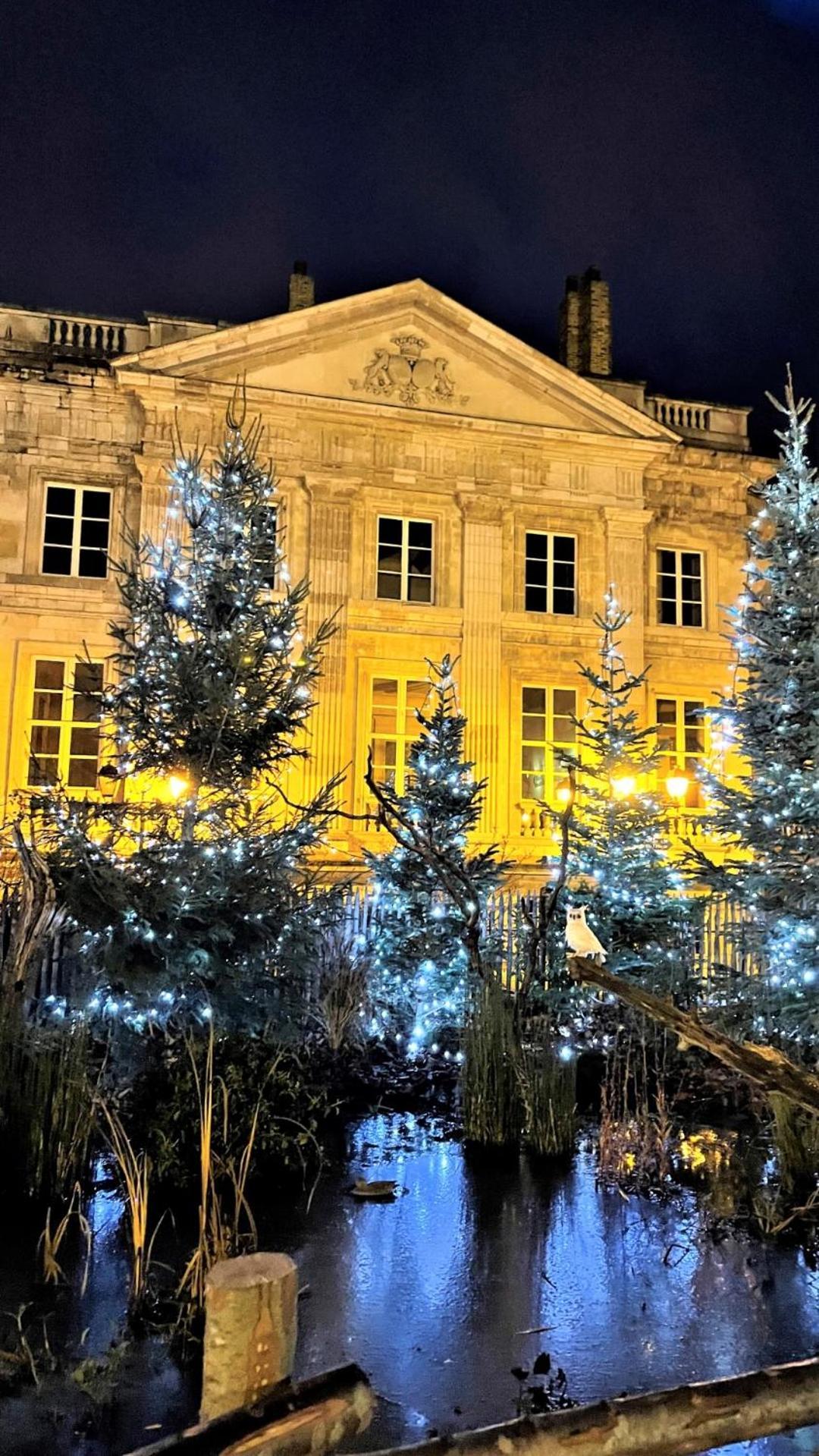 Cocon Lumineux Proche De La Ville Fortifiee Et De Nausicaa Boulogne-sur-Mer Dış mekan fotoğraf