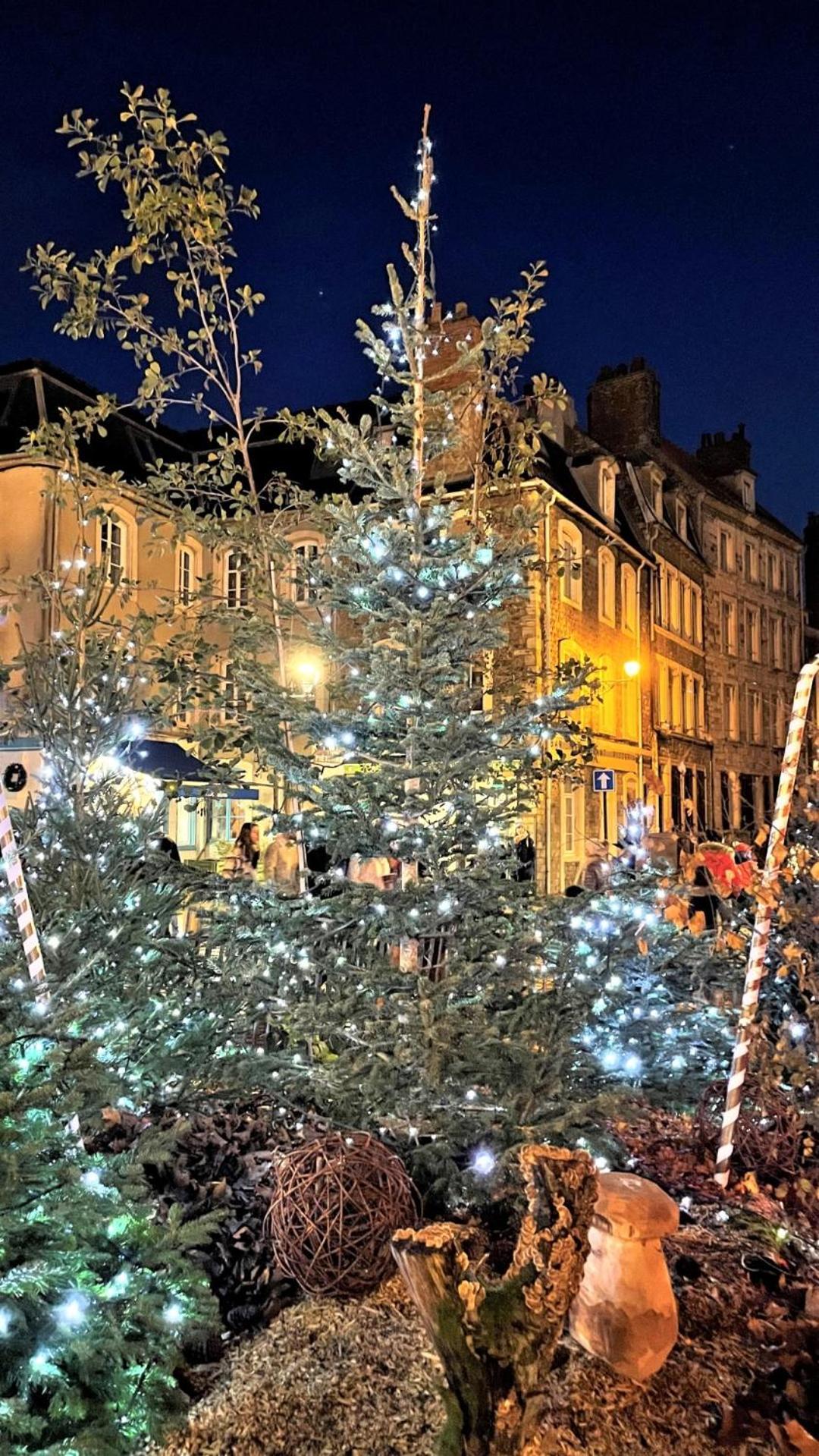Cocon Lumineux Proche De La Ville Fortifiee Et De Nausicaa Boulogne-sur-Mer Dış mekan fotoğraf